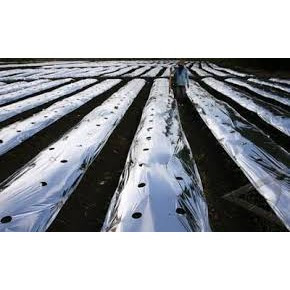 PLASTIK MULSA 500METER MERPATI 1 ROLL