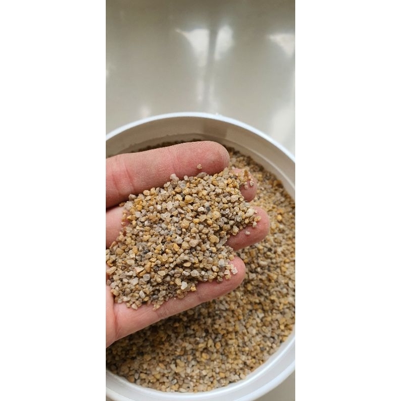 Pasir Aquarium / Pasir Kelomang 1Kg