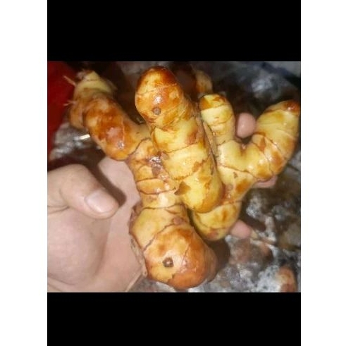 

Lengkuas 250gram