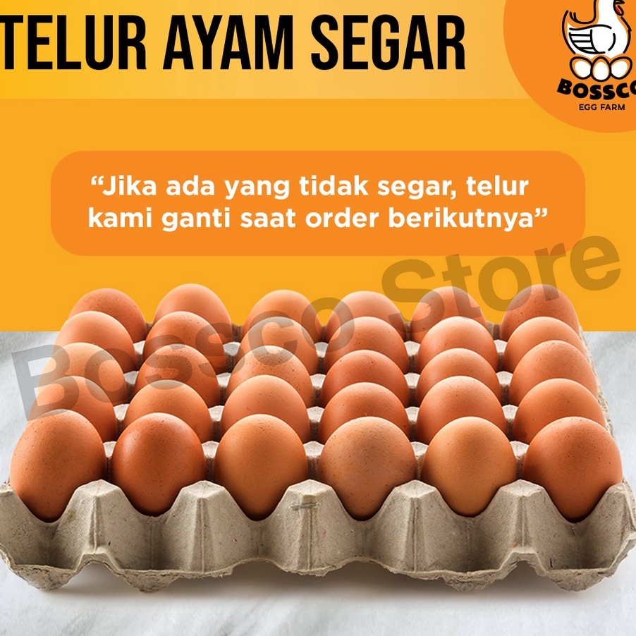 

FSASH SALE Telur Ayam Negeri FRESH telor ayam negri per 1 tray telur ayam premium telor ayam premium telur segar telur ayam segar telur organik telur bebas bakteri telor ayam segar telor organik telor ayam segar telur omega telor omega