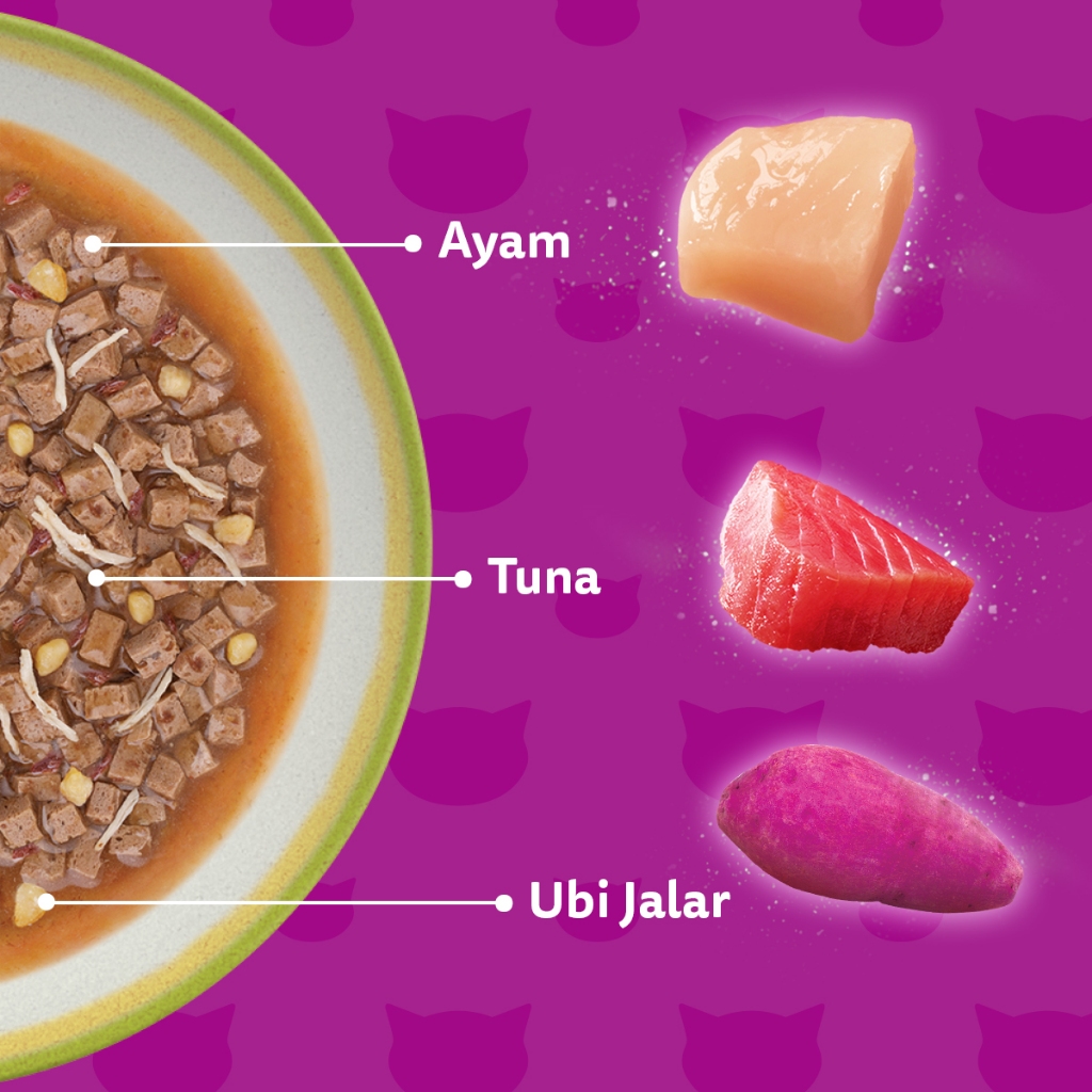 Whiskas Tasty Mix Gravy Makanan Kucing Basah Pouch Junior 70 gr - Isi 14