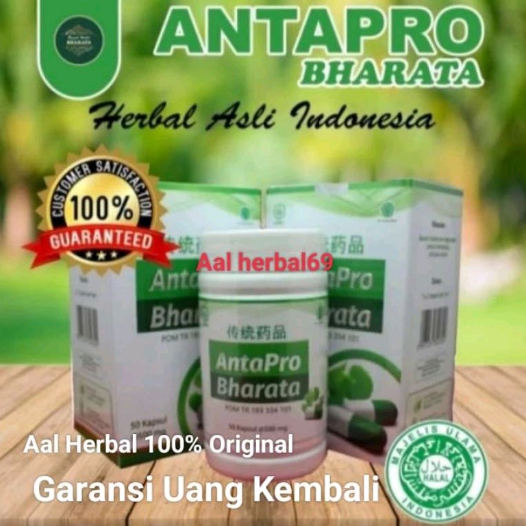 Antapro bharata asli original herbal super ampuh