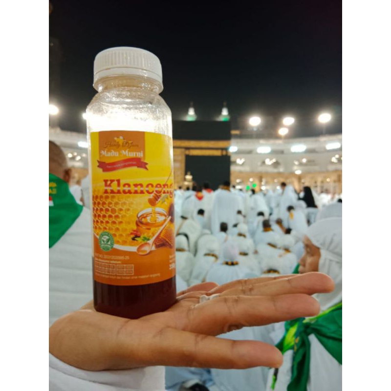 

Madu Klanceng Asli Lebah Trigona