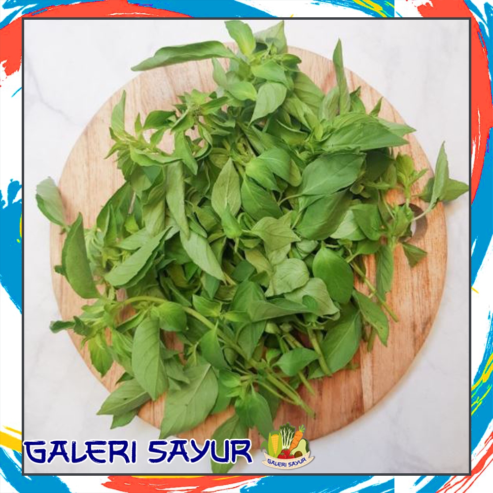 

KIRIM INSTAN Kemangi Segar - Galeri Sayur