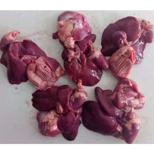 

Hati Ampela Ayam 5 Pasang KIRIM INSTANT