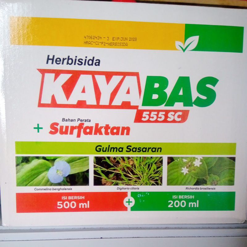 KAYABAS