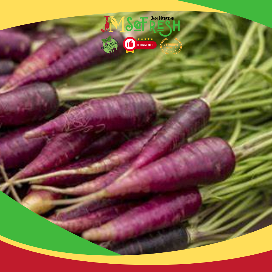 

[JM_SoFresh] Wortel Ungu Segar / Carrot Haze Hybrid