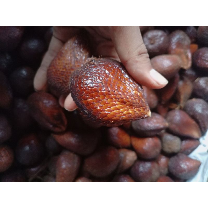 

Salak pondoh 500 gram