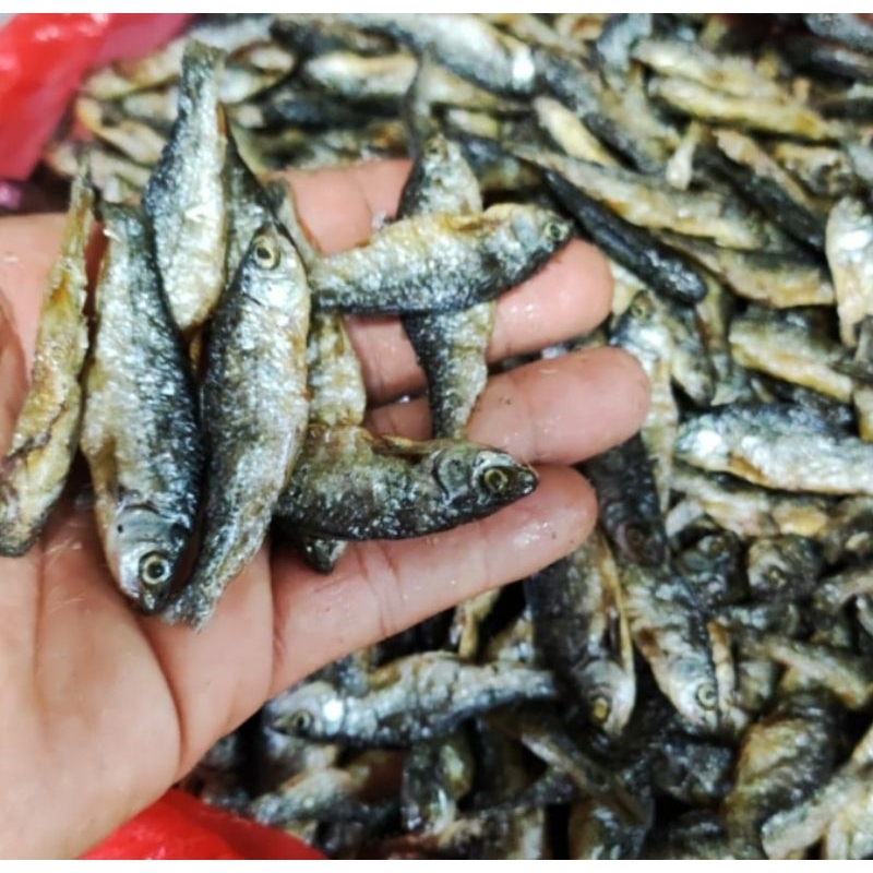 

Ikan Bilih Padang/ Ikan Bilih Danau Singkarak/ Ikan Bilih Kering