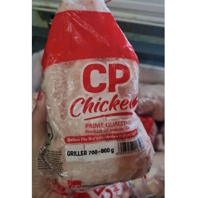 

CP Ayam Karkas/Ayam utuh ukuran 0,7-0,8kg / 700-800gram / Griller Size 1