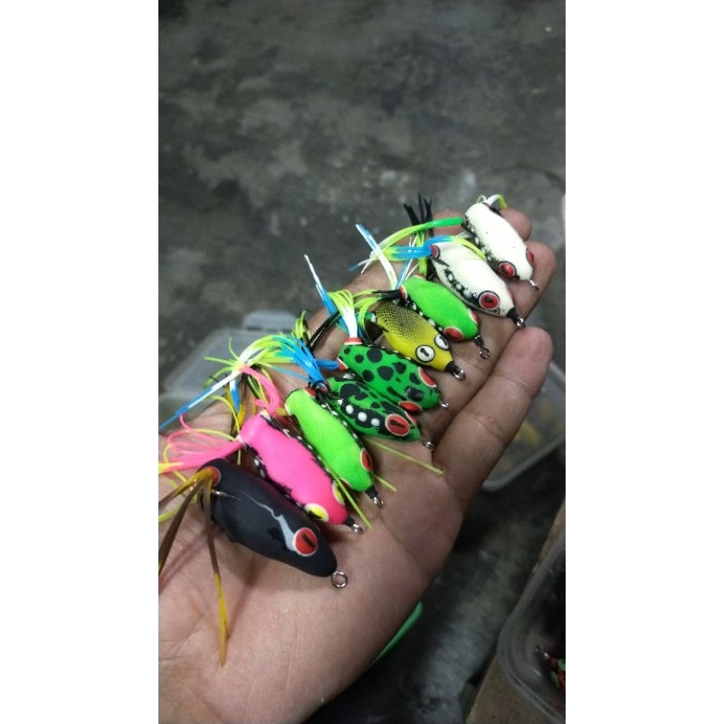 sofrog skrit berdiri 3cm