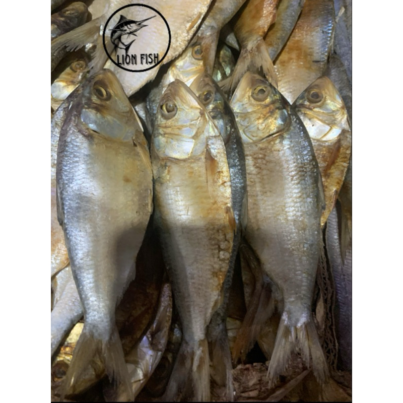 

ikan asin tembang fresh;500gram