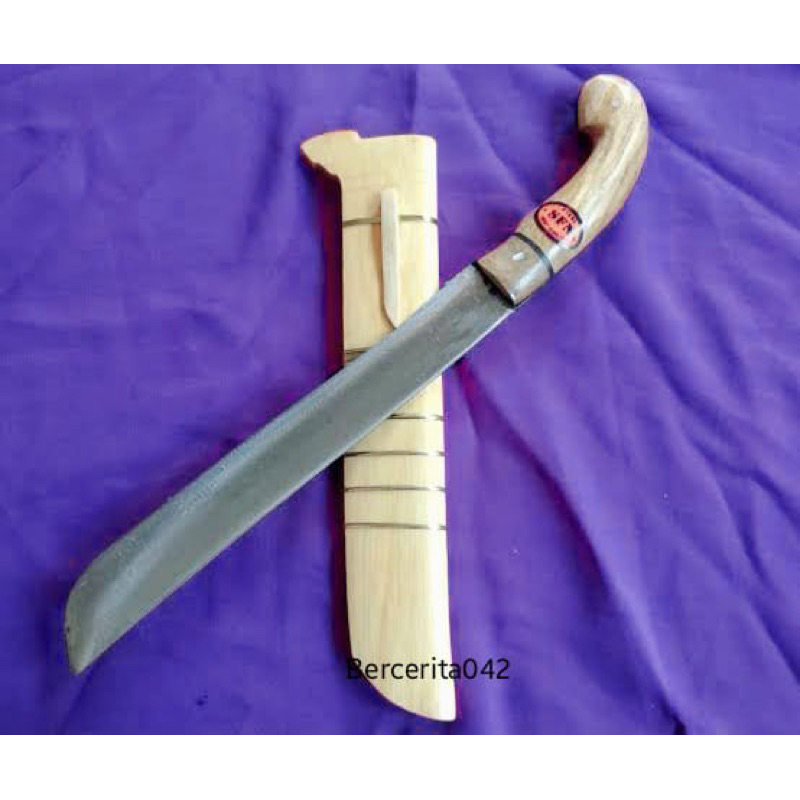 Gollok SFN asli cibatu