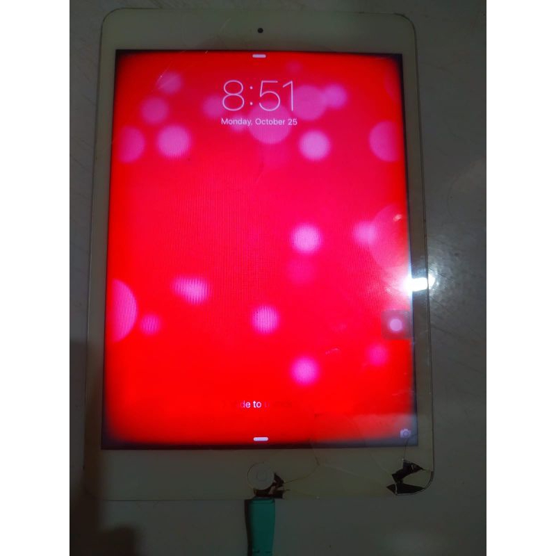 iPad Mini Minus LCD