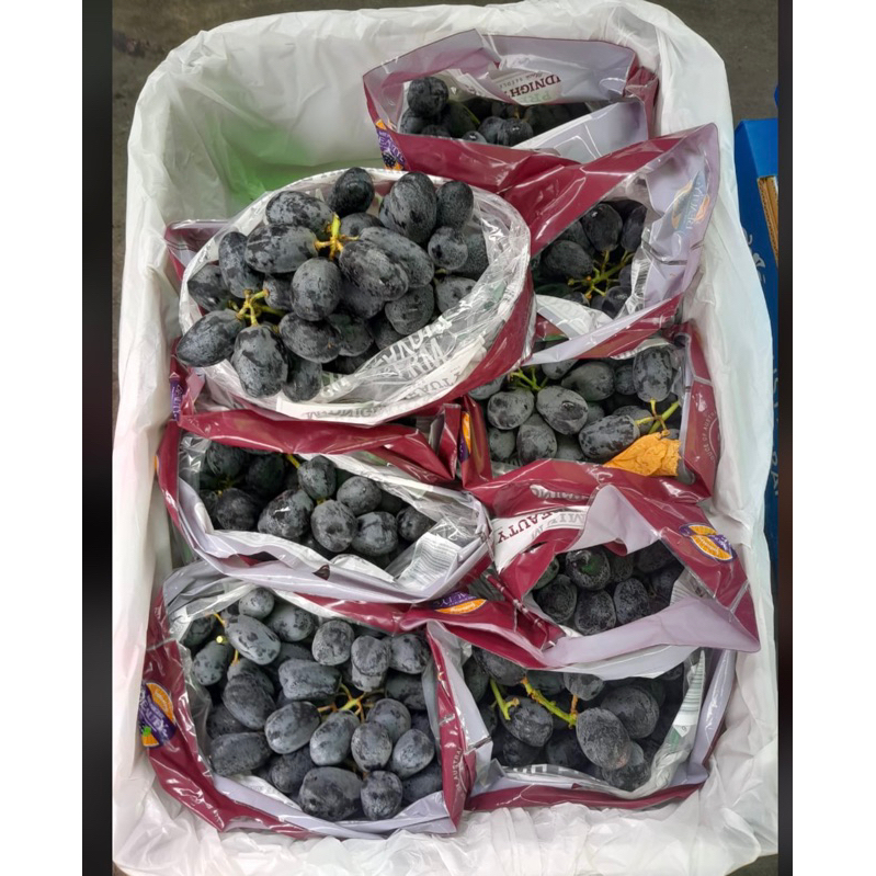 

anggur thompson aus 9kg