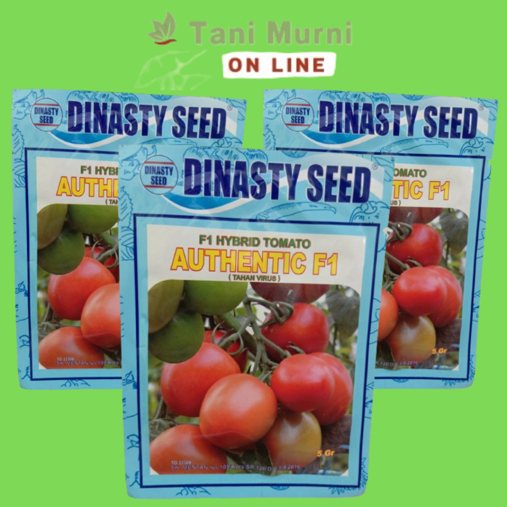 Benih Tomat Hybrid AUTHENTIC F1 Tahan Virus Dinasty Seed