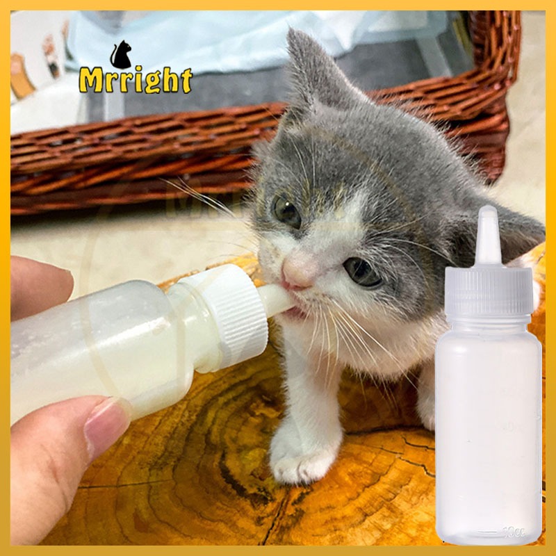 Dot kucing botol kucing dot 60ml peralatan air minum anak kucing dot botol anjing