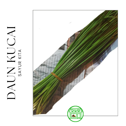 

Daun Kucai 250 gram