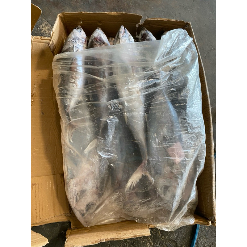 

Ikan campur