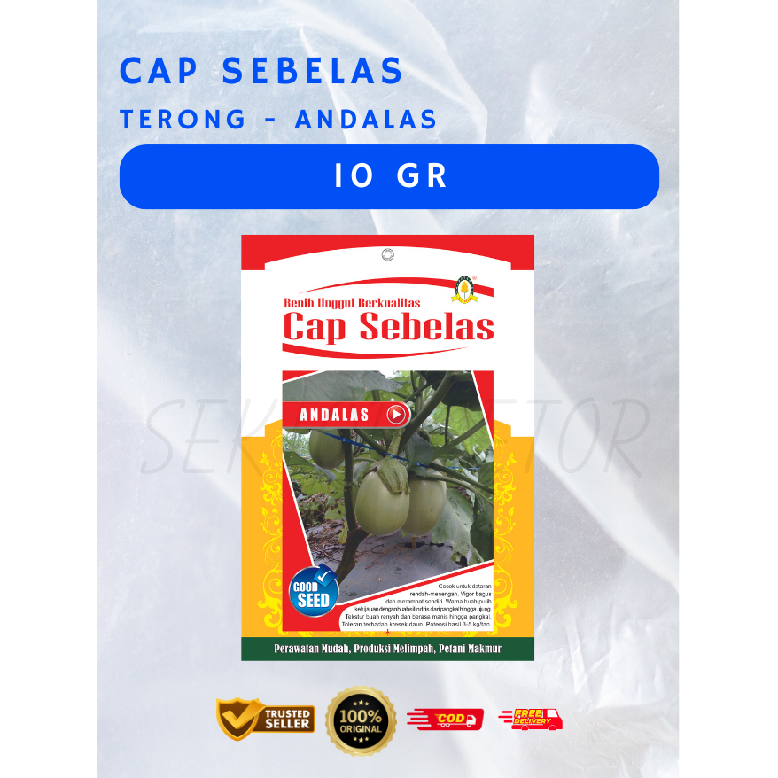 Benih Terong Pondoh Andalas Cap Sebelas 10gr | Benih Terong | Bibit Terong | Benih Terong Pondoh | B