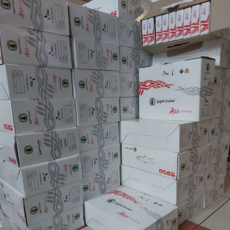 GAJAH DUDUK ASIA KEMBANG TERBARU GROSIR  gajah