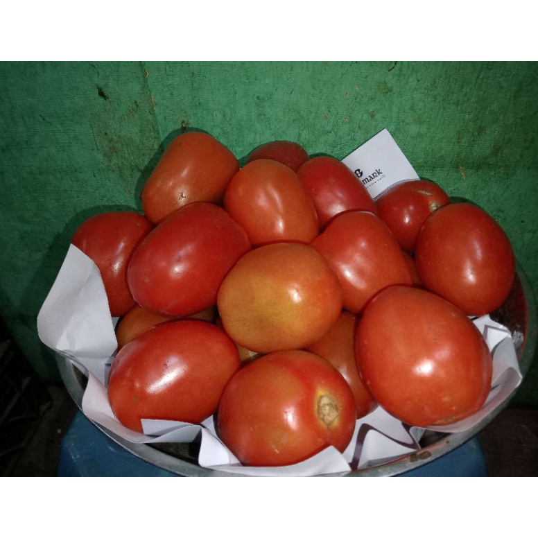 

TIPE BGQ4 TOMAT MERAH FRESH PER 1 KG