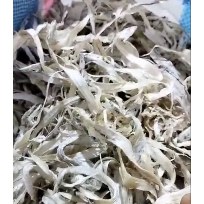 

canteng / srawut / layur kecil