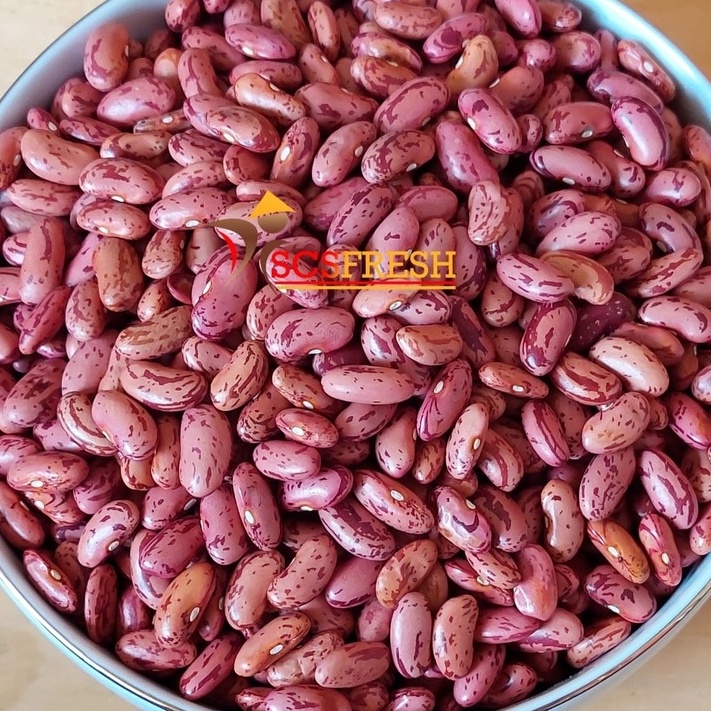 

HJ6 KACANG MERAH KACANG JOGO KACANG ES CAMPUR KACANG UNTUK SOP