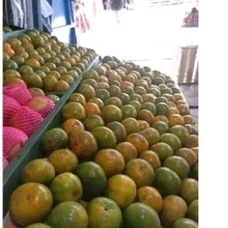 

jeruk segar - Buah solo
