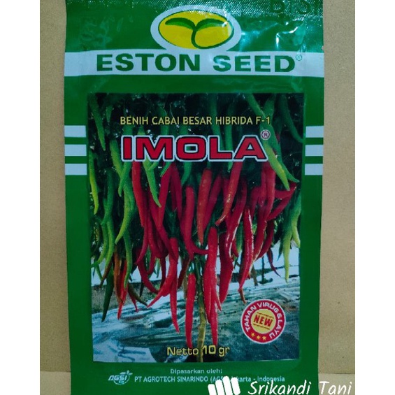 Cabe Besar Imola New F1 Cabe Besar Hibrida New Imola Buah Lebat Kemasan 1gr Original Pabrik ART S7H9