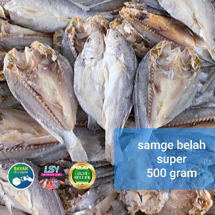 

Spesial ikan asin samge belah 5gram