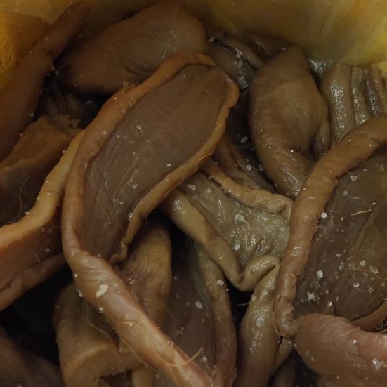 

Terbaik Chaipo Asin Chai Po Asin Choipu Asinlobak asin 25gr