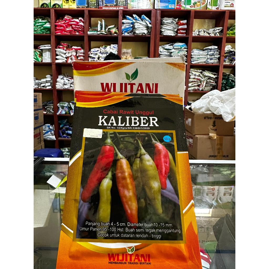 

Cabai Rawit Unggul Kaliber 10 gram