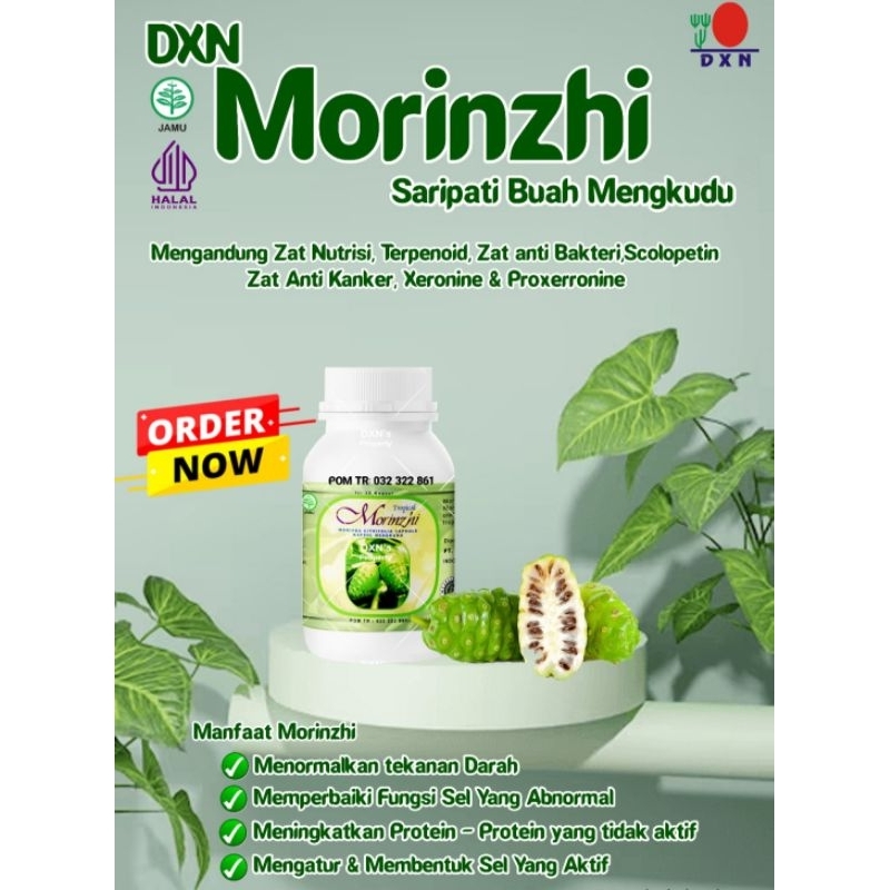 Morinzhi DXN