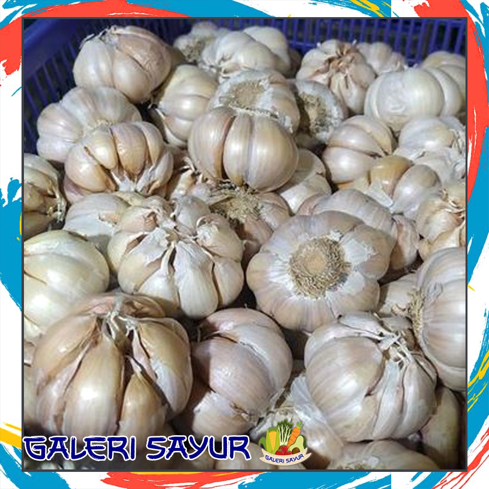 

KIRIM INSTAN Bawang Putih Import - Galeri Sayur
