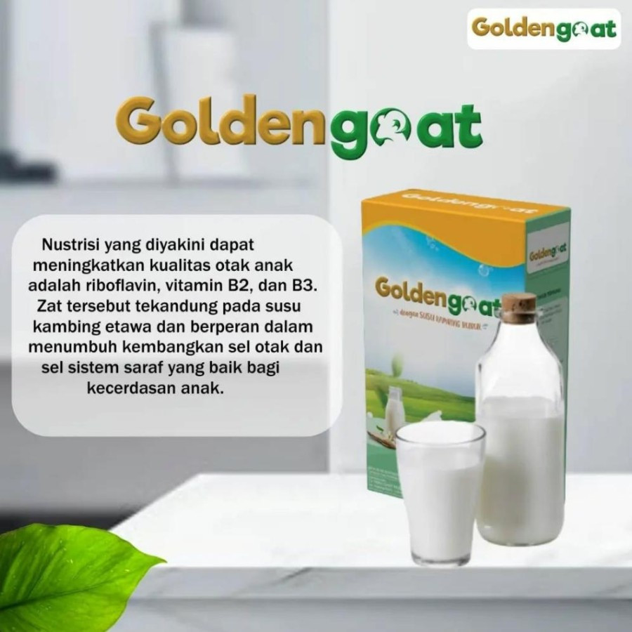 

Paket 4 Box Susu Kambing Etawa Goldengoat Susu Golden Goat Bubuk