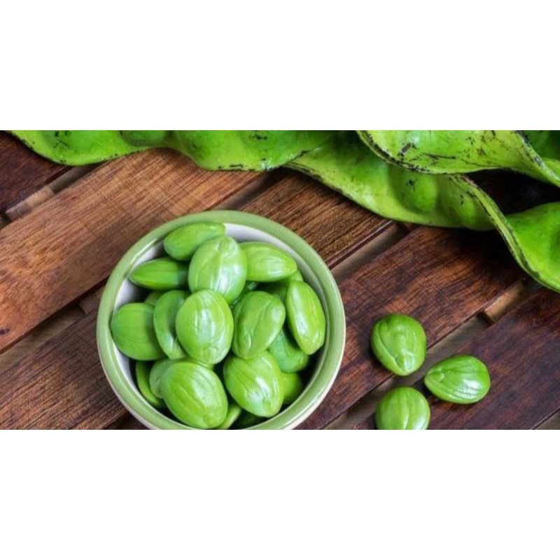 

READY Pete Kupasan High quality