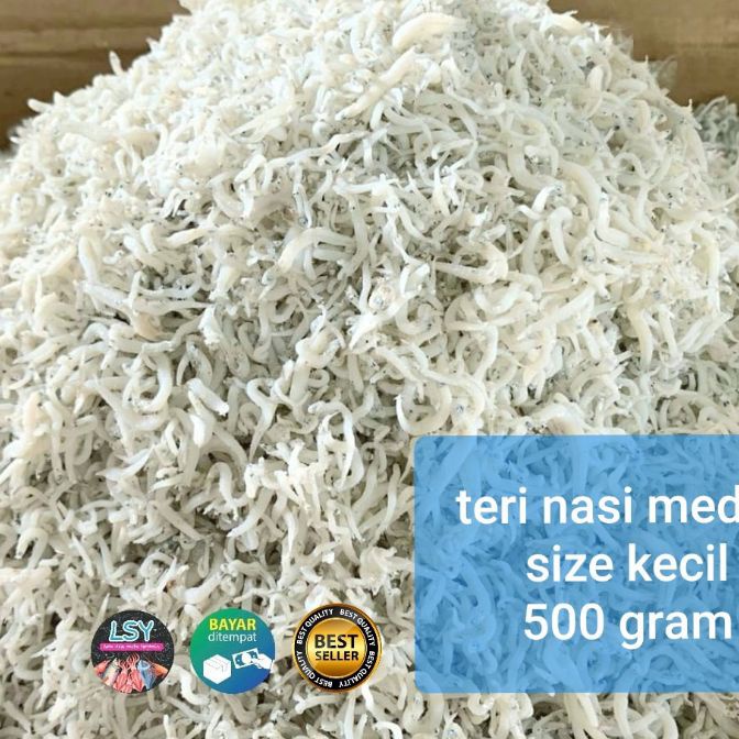 

FG2 ikan asin teri nasi medan size kecil 5 gram