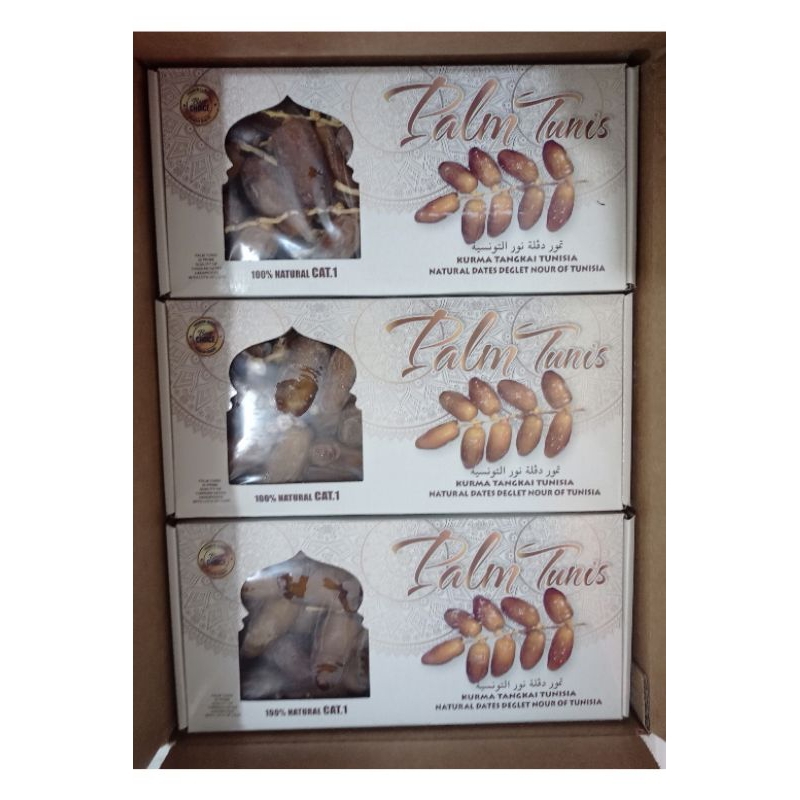 

Kurma tangkai Tunisia Palm Tunis deglet