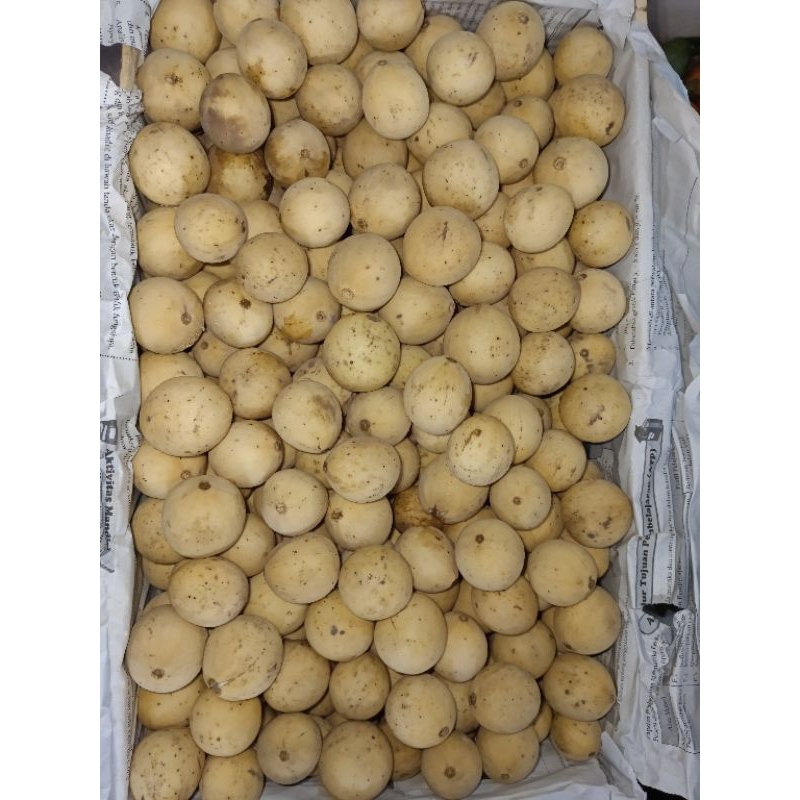 Buah Duku Palembang Asli Manis 1kg