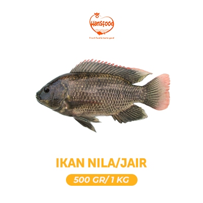 

Ikan MuJair/ Jair fresh dan frozen 500 gr & 1 kg