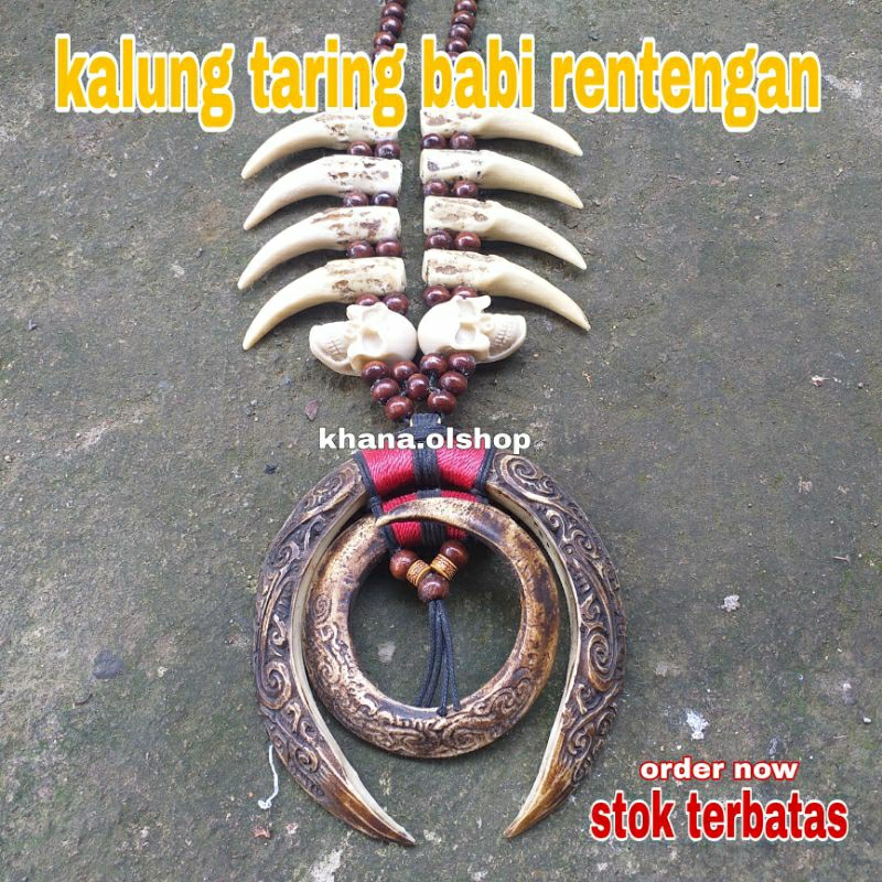 KALUNG TARING BABI ETNIK DAYAK KALIMANTAN