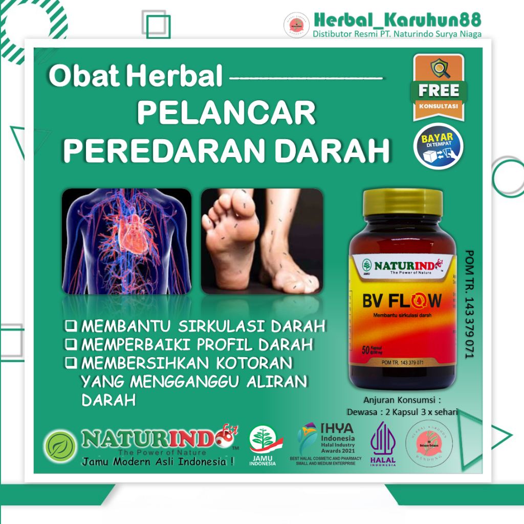 Obat Herbal Kesemutan Kram Kebas Varises Cegah Penyumbatan Pembuluh Darah BV FLOW Naturindo