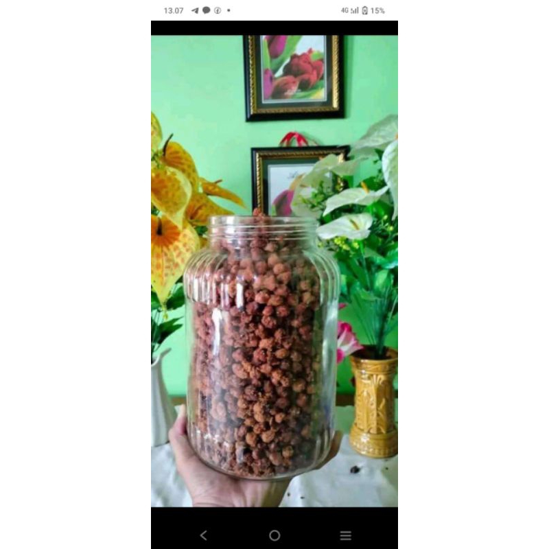 

kacang disco bolmong
