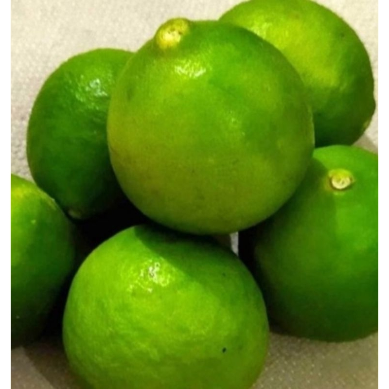 1 KG BUAH JERUK NIPIS ASLI PENGiRIMAN DARI MEDAN