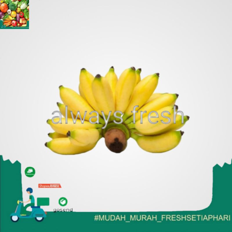 

- always fresh palembang