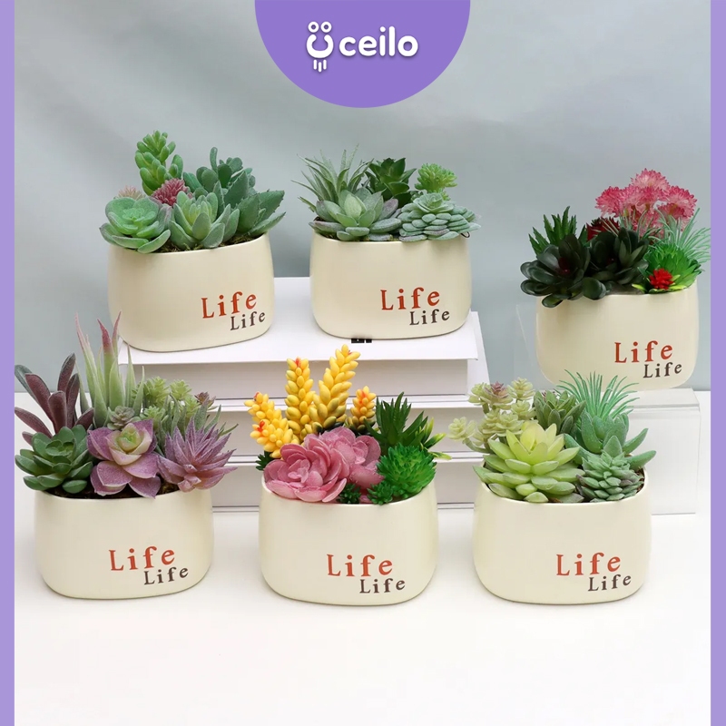 CEILO Kaktus Sukulen Imitasi | Succulent Artificial | Tanaman Kaktus Palsu | Sukulen Plastik Mini | 