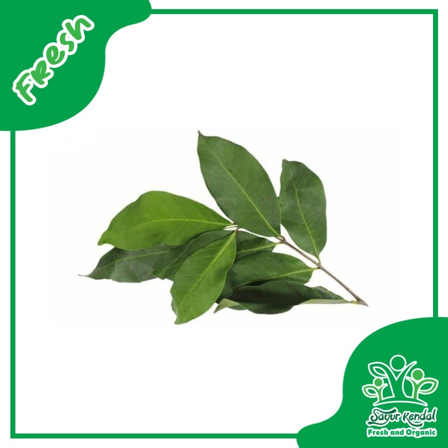 

Daun Salam - Sayur Kendal Sawangan