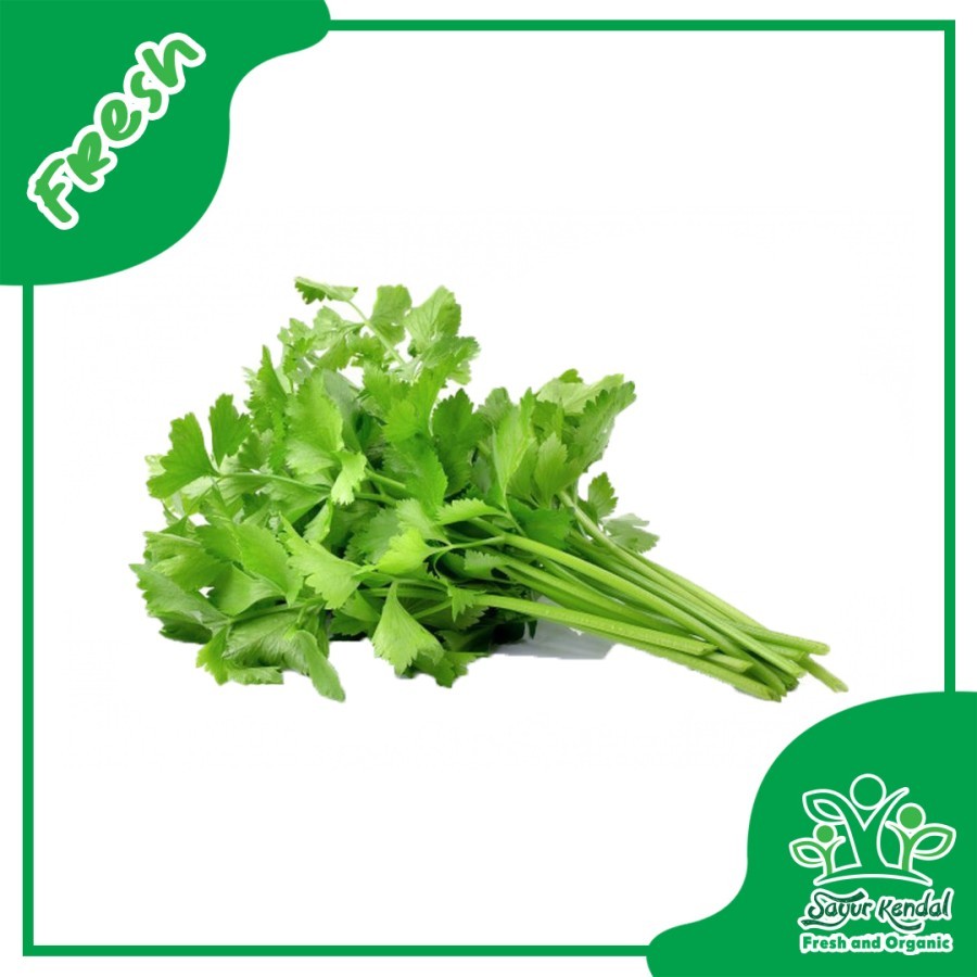 

Seledri 250gr - Sayur Kendal Sawangan