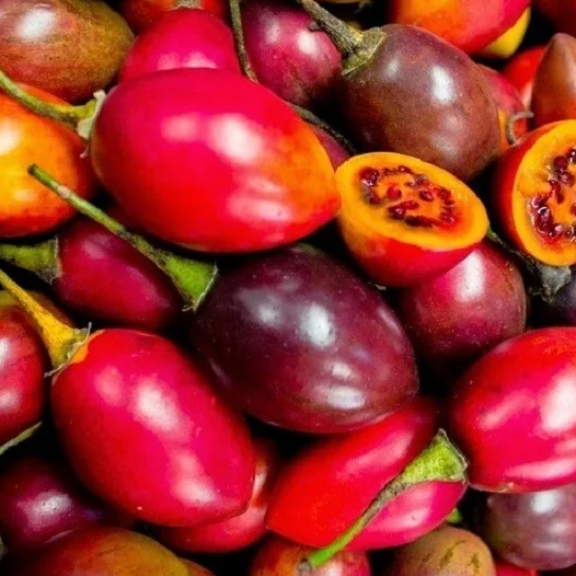 

Terong Belanda / Terong murah 500gr